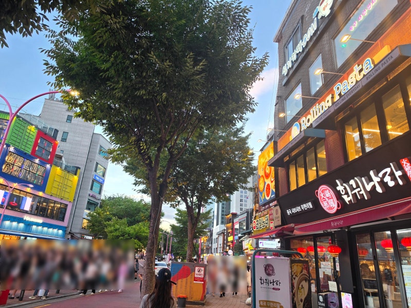 [서울 홍대] 나 왜 이렇게 사람 많으면 지치지 | 홍대 이색카페 - 심리카페점컴