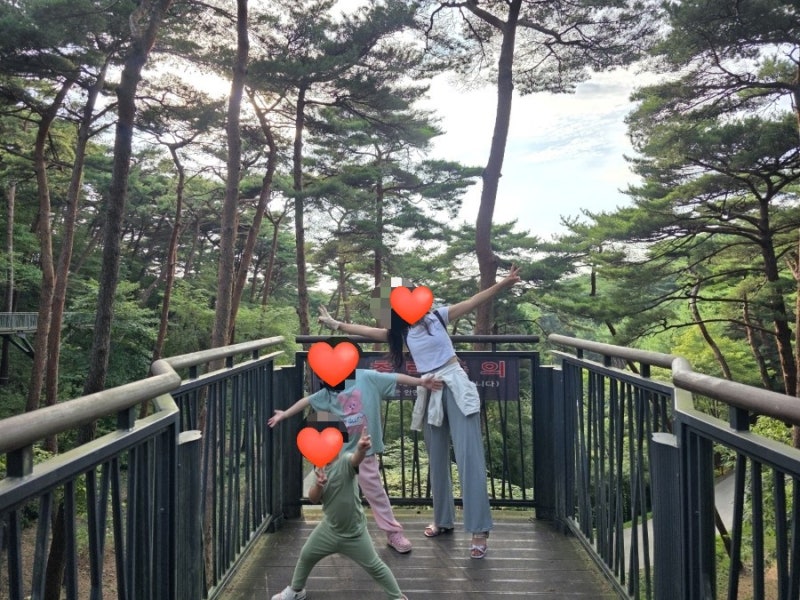 [태안 여행] 가성비 최고! 아이와 함께 다녀온 '안면도자연휴양림'