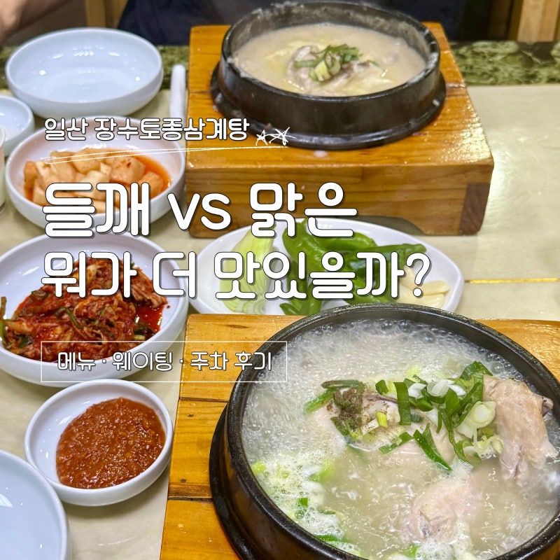 장수토종삼계탕｜일산 삼계탕 맛집, 들깨 vs 맑은 뭐가 맛있을까?