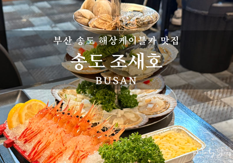 송도 조새호, 부산 송도 송도해상케이블카 맛집 독도새우+3단 조개구이 세트 솔직후기