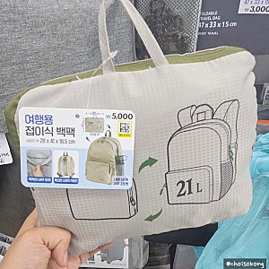 다이소추천템 여행용 접이식 백팩 추천 꿀템
