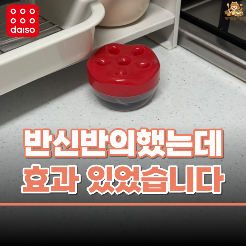 다이소 초파리트랩 며칠 써보니 왜 추천하는지 알겠더라구요