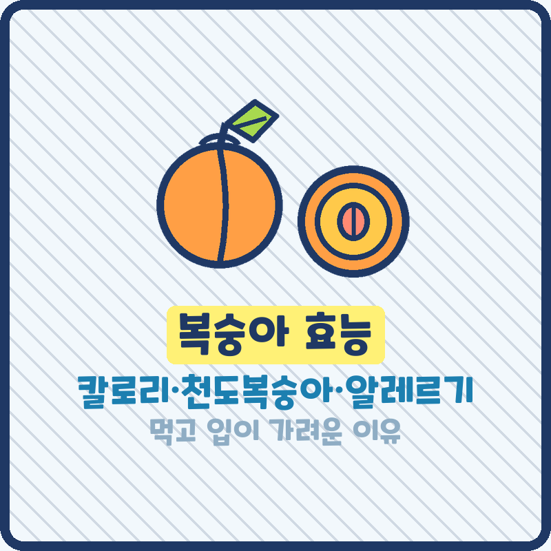 복숭아 효능 칼로리 당뇨 천도복숭아 효능 알레르기 입이 가려운 이유