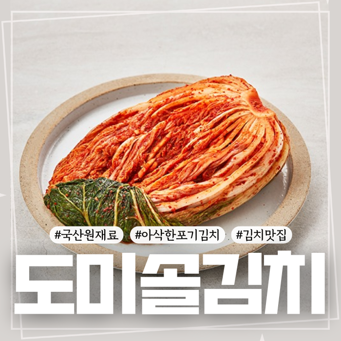 도미솔김치 포기김치 가격 구매처 정보, 아삭한 김치 추천