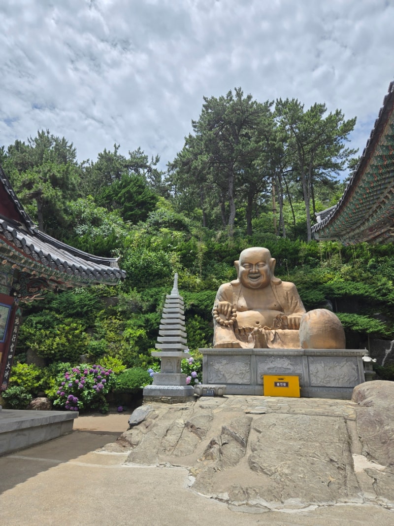 [부산명소]바다 바로 위 절벽에 절이?! 외국인도 반한 한국에서 가장 아름다운 사찰, 부산 해....
