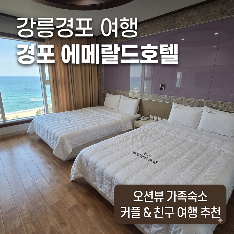 [강원 강릉경포 여행] 경포대해수욕장 바로 앞 오션뷰 가족숙소 추천! 경포 에메랄드호텔 4인....