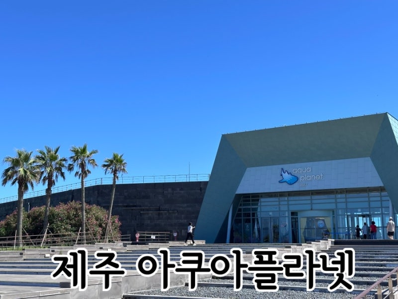 제주여행 제주 아이랑 가볼 만한 곳 제주 아쿠아 플라넷 가격, 할인, 푸드코트, 오션 아레나 ....