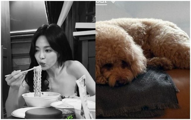 송혜교 드라마와 핑클 이진의 여전한 우정 정리