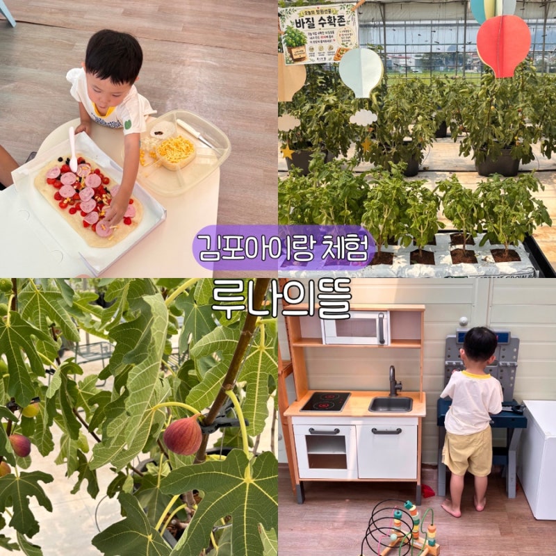 김포 아이랑 가볼만한곳 루나의뜰 예약 농촌투어패스 피자만들기 체험