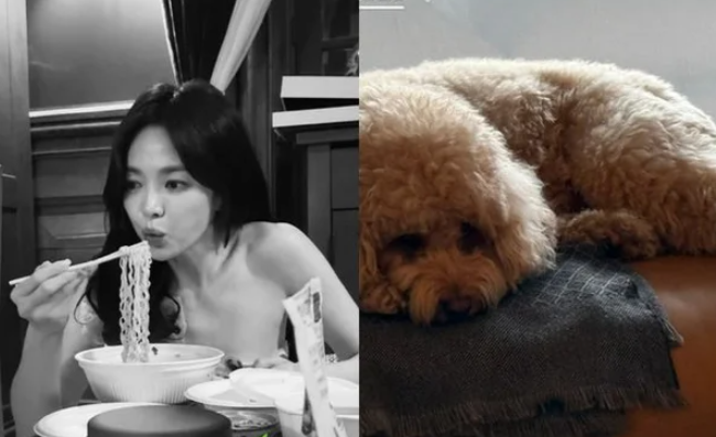 "은광여고 전설의 얼짱들" 송혜교, 핑클 이진과 변함없는 우정 과시… '장군이' 인증샷 화제