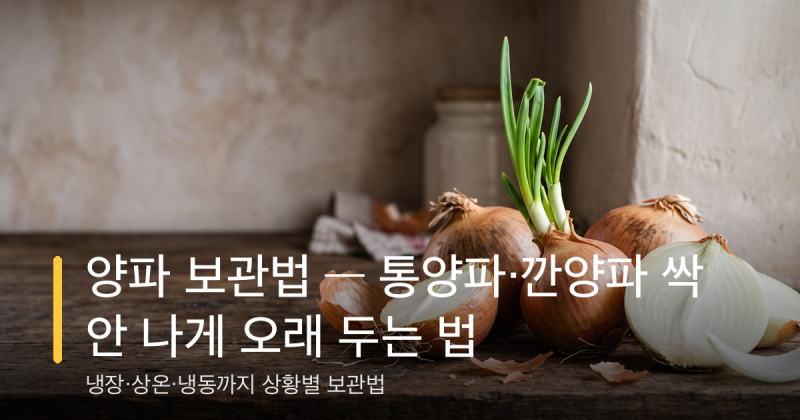 양파 보관법 — 통양파·깐양파 싹 안 나게 오래 두는 법