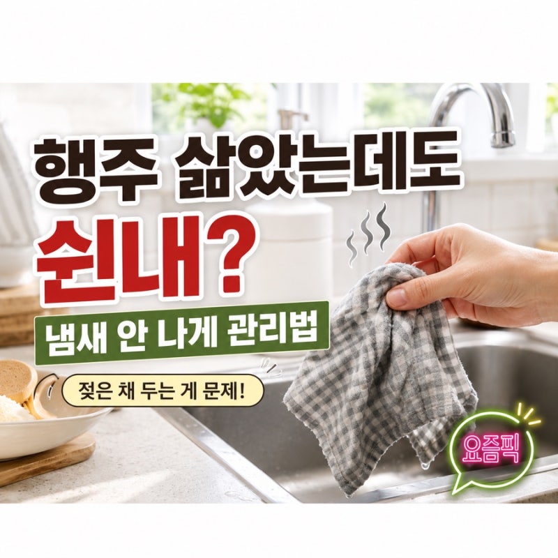 행주 삶았는데도 쉰내 나는 이유, 냄새 안 나게 관리하는 방법