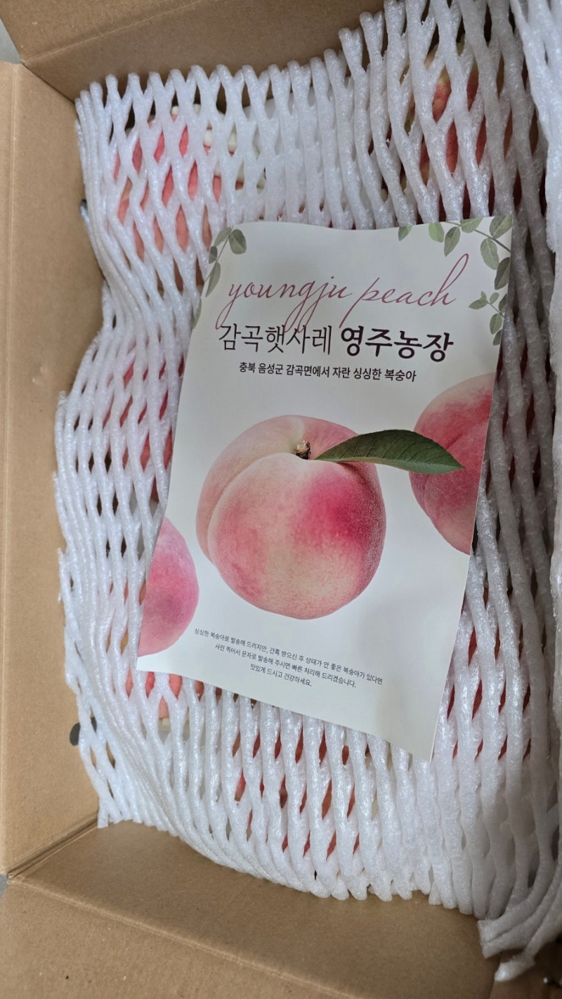 영주농장 감곡복숭아