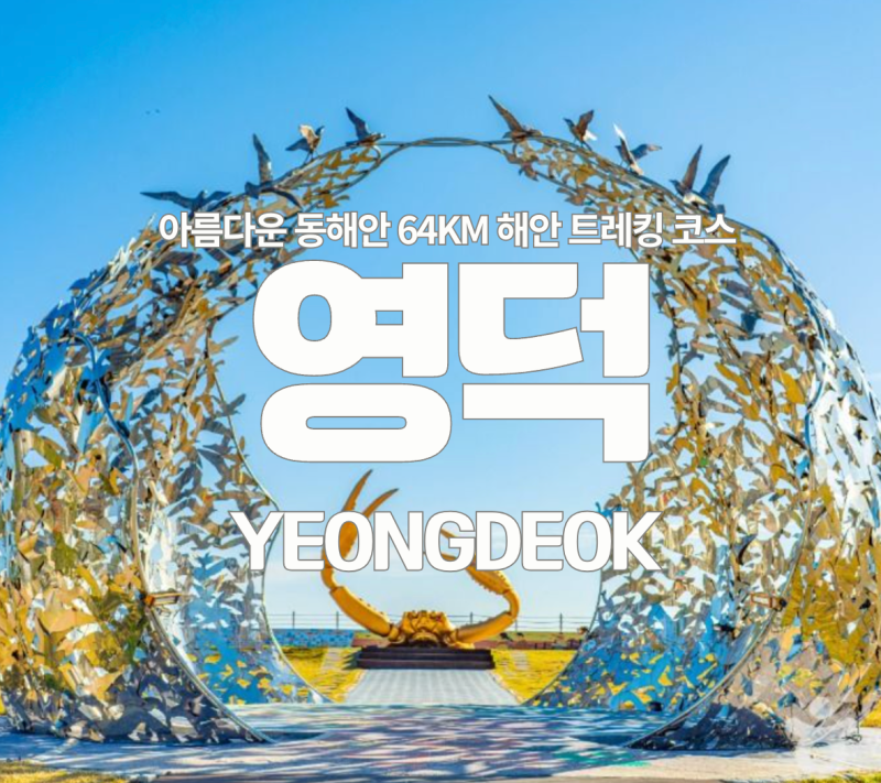 경북 영덕 여행코스 영덕대게 원조산지 강구항, 블루로드 동해안 트래킹 코스까지 가볼만한 ....