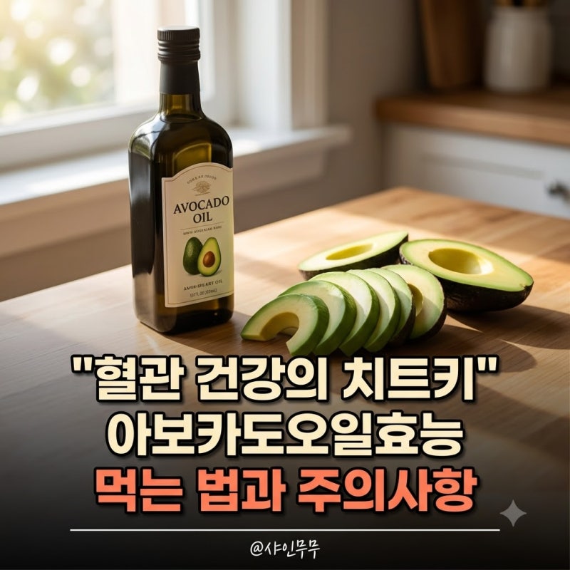 "혈관 건강의 치트키" 아보카도오일효능 먹는법과 발연점 주의사항 정리