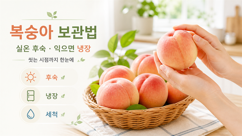 복숭아 보관법｜실온 후숙·냉장 온도·씻는 시점