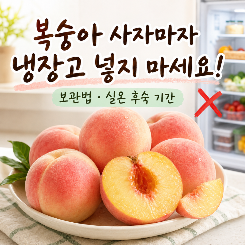복숭아 보관법, 사자마자 냉장고에 넣지 마세요! 실온 후숙 기간
