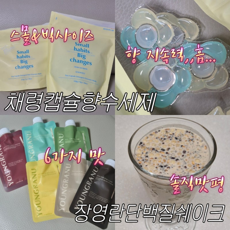 채령 향수세제 그리너리머스크ㅣ장영란 영라뉴 단백실 쉐이크 내돈내산 솔직후기