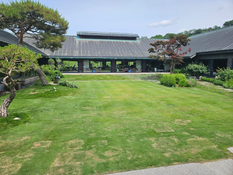 나 홀로 골퍼의 '조인 골프' 완벽 정복!!