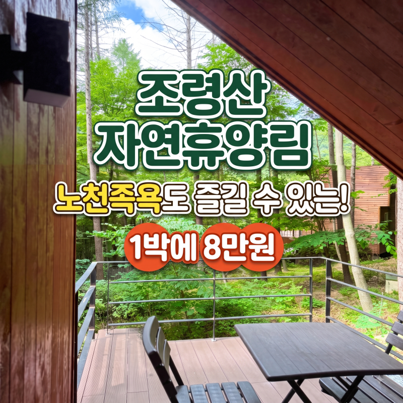 2026 충북 자연휴양림 추천｜조령산자연휴양림 숲속의 집 오동나무 1박 2일 솔직 후기｜숲캉....