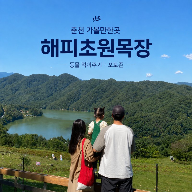 춘천 가볼만한곳 해피초원목장 후기ㅣ여기가 한국의 스위스라고요? 동물 먹이주기·포토존