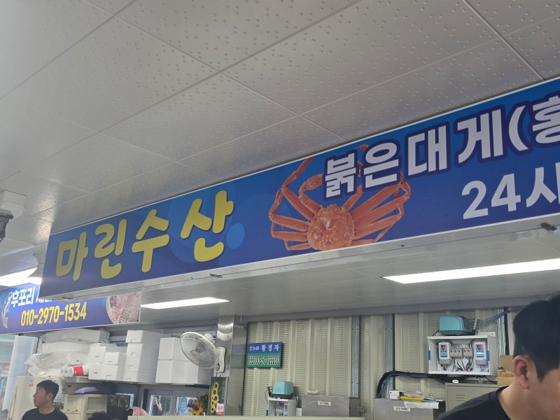 [울진 후포리 대게 맛집] 후포항 마린수산 박달대게 시세와 꽉 찬 수율! 가성비 찐후기