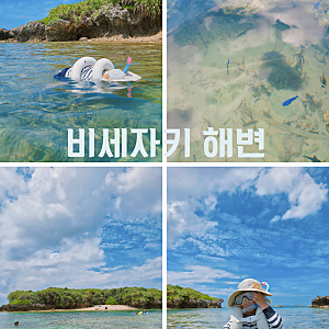 오키나와 비세자키 스노클링 후기 투명한 바다에서 물고기 구경하고 마키비 아카리 숯불구....