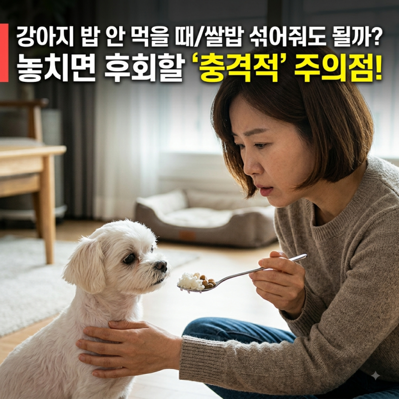 강아지 밥 안먹을때 쌀밥 섞어줘도 될까? 의외로 놓치는 주의점