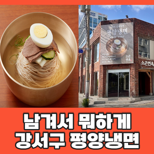 남겨서 뭐하게 순메밀 평양냉면 강서구 맛집 어디? 100% 순메밀 들기....