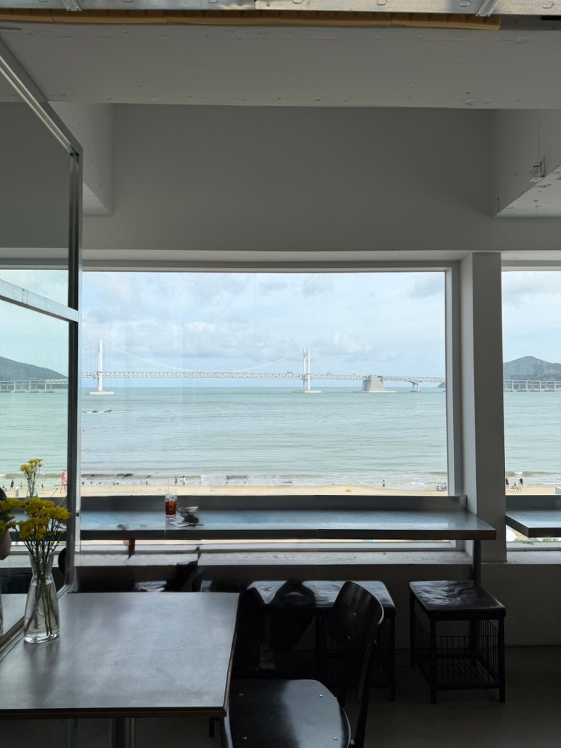 광안리 오션뷰 카페 나수브 내돈내산 후기｜광안리 바다뷰 보며 자두에이드 & 올리브아이스....