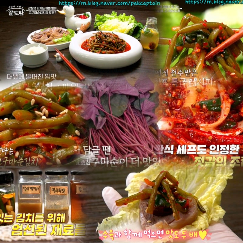 알토란606회 김청 고구마순김치 담그는법 고구마순무침 양념 고구마순요리 레시피