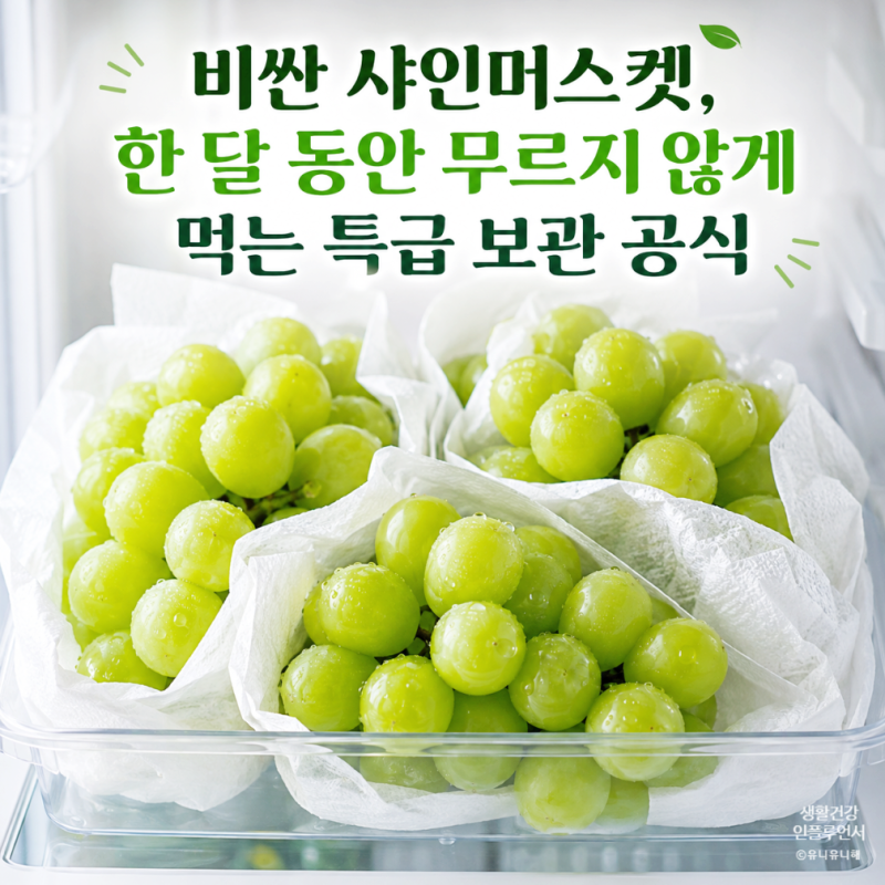 샤인머스켓 효능 5가지와 오랫동안 싱싱하게 먹는 보관법 및 세척꿀팁