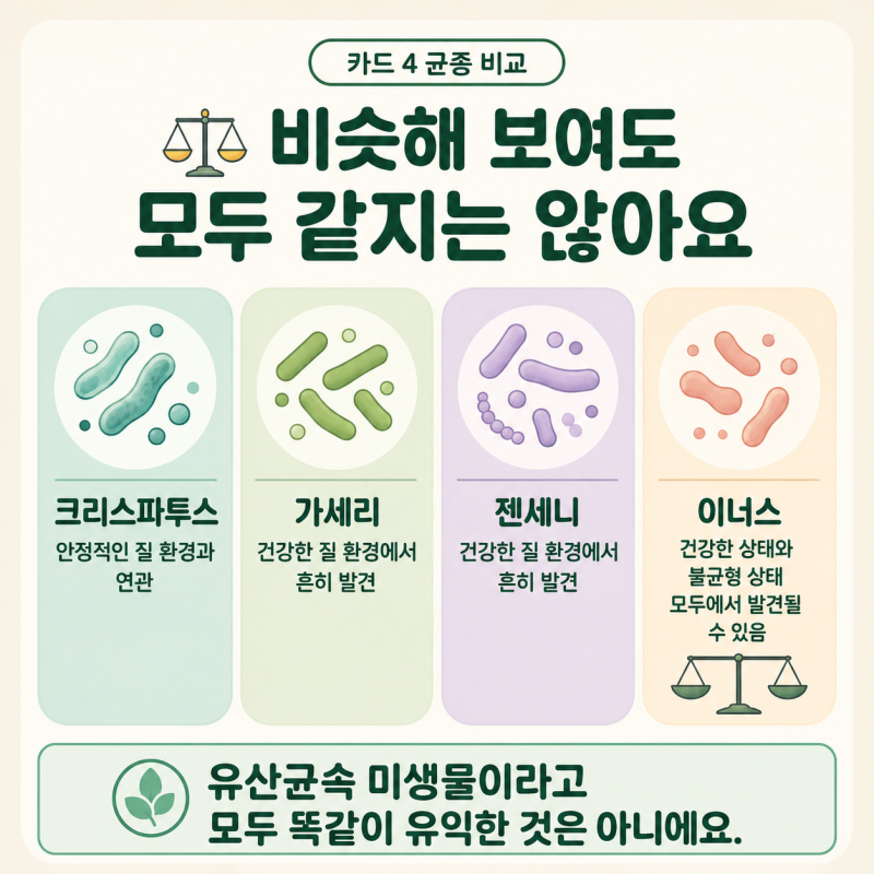 질유산균은 장에서 질로 이동할까요? 일반 유산균과 다른 균주·효능·선택 기준