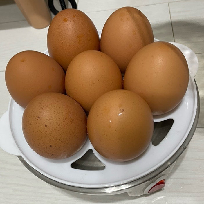 다이소 계란찜기 7구 5000원 +) 냉동만두 찜기 쌉가능