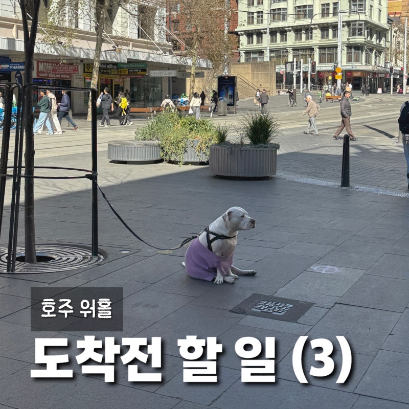 호주 워홀 | 도착 전 할 일 (3) 2026 최신 버전 총정리