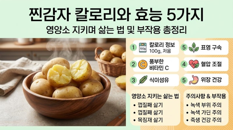 찐감자 칼로리와 효능 5가지: 영양소 지키며 삶는 법 및 부작용 총정리