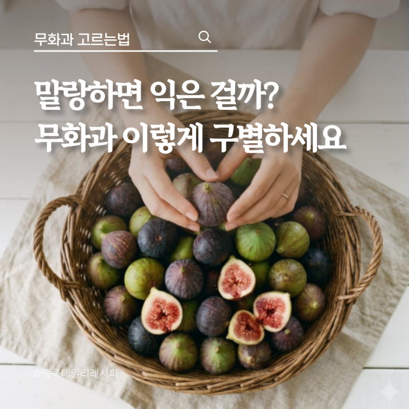 초보 주부 무화과 고르는법, 덜 익은 것 vs 잘 익은 것 차이는?