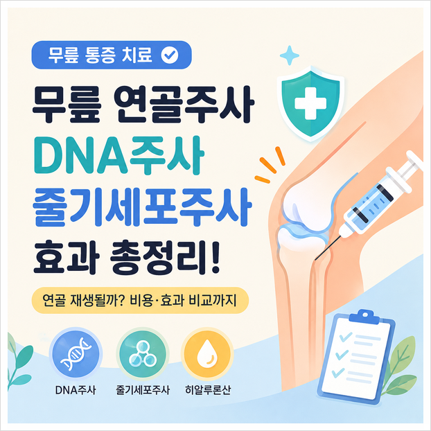 무릎 연골주사 DNA 주사 줄기세포 주사, 연골 재생될까? 효과 총정리
