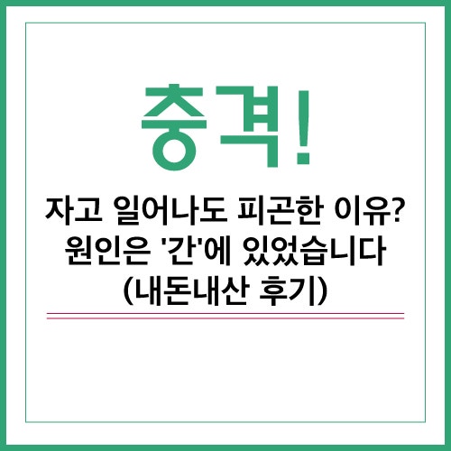 우루사 vs 밀크씨슬 차이점? 간 기능 개선 영양제 고르는 법