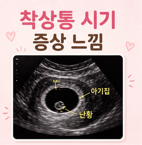 착상통 실제 겪은 시기 증상 느낌 위치 배란통과 차이점 공유