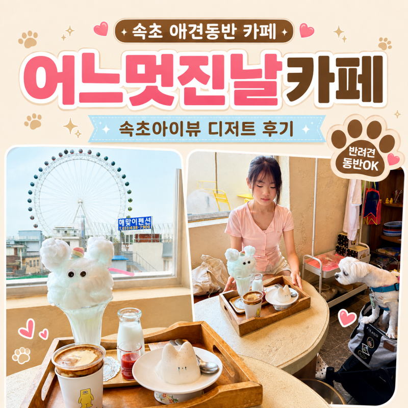 속초 애견동반 카페 어느멋진날카페 속초아이뷰 디저트 후기