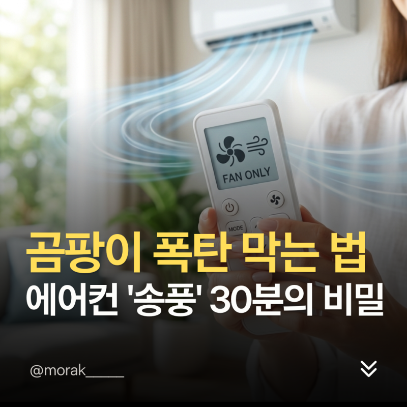 "그냥 껐다간 곰팡이 폭탄 맞습니다" 에어컨 송풍모드·전기요금·쉰내 제거, 30분 안 돌리면 ....