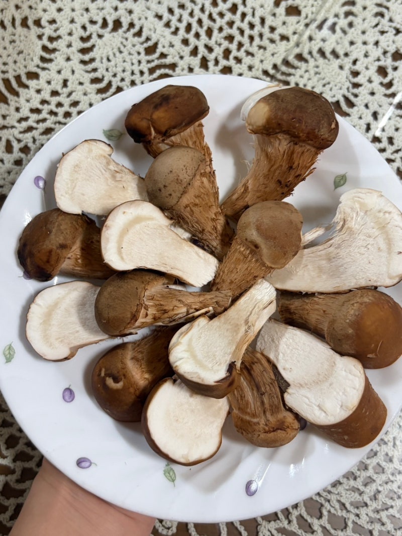 몸에 좋고 맛도 좋은 박가네참송이버섯 참송이버섯 먹는방법