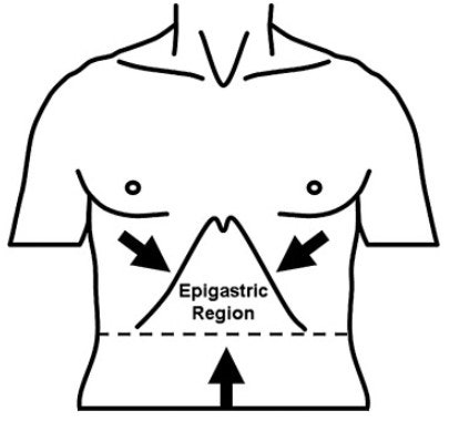 제약 및 바이오 용어) 명치(epigastric region)
