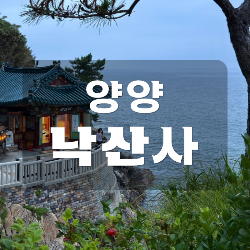양양 낙산사 | 해돋이는 못봤지만 뜻깊었던 시간