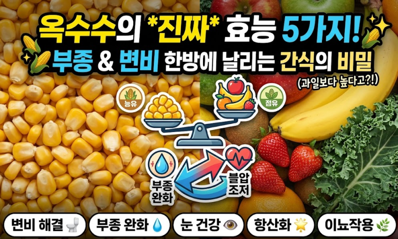옥수수 효능 5가지 알고 먹자! (부종·변비 예방부터 당뇨 주의사항까지)