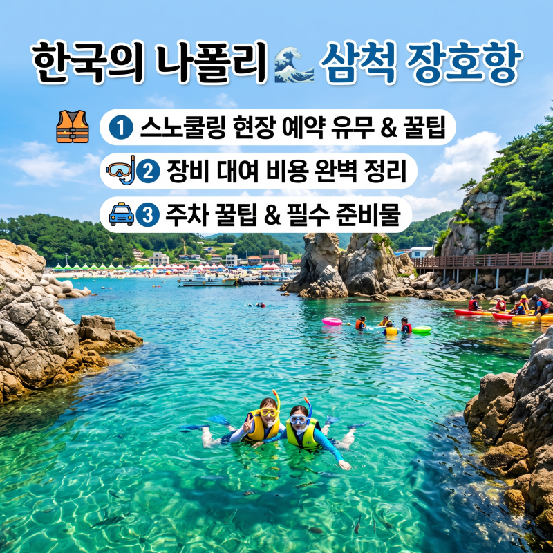 한국의 나폴리 삼척 장호항 스노쿨링 예약 유무와 장비 대여 비용, 주차 꿀팁 총정리