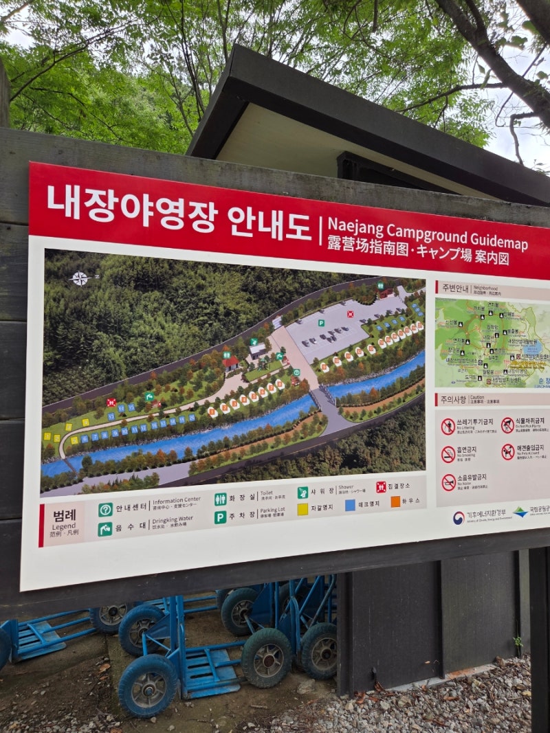 전북 캠핑 추천 | 내장산국립공원 내장야영장 12번 완전정복 후기 (feat. 여름 계곡물놀이, 불....