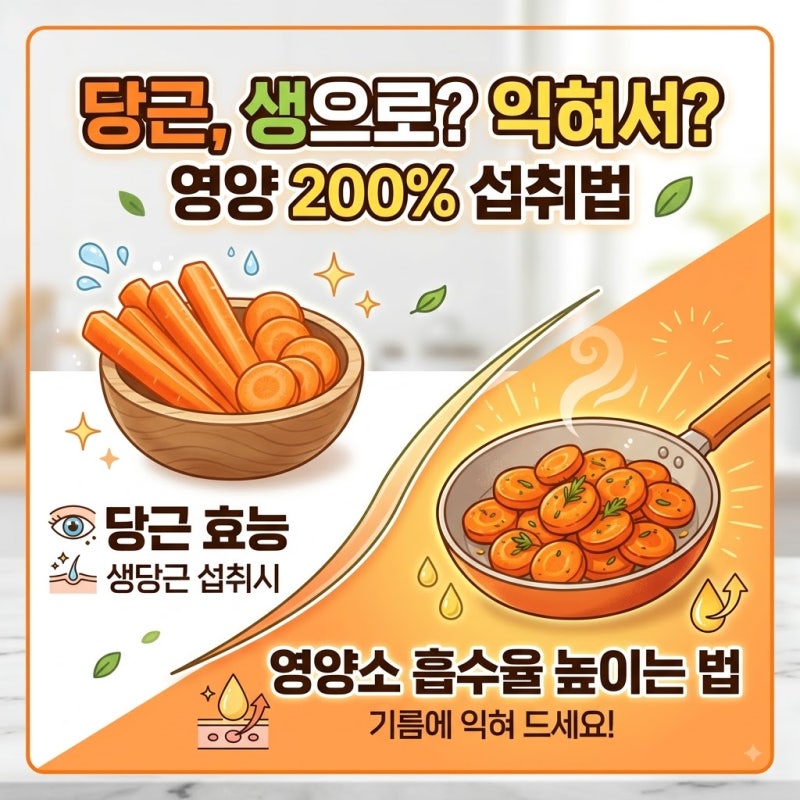 당근 효능과 섭취법 비교 생당근 익힌 당근 영양소 흡수율 높이는 법