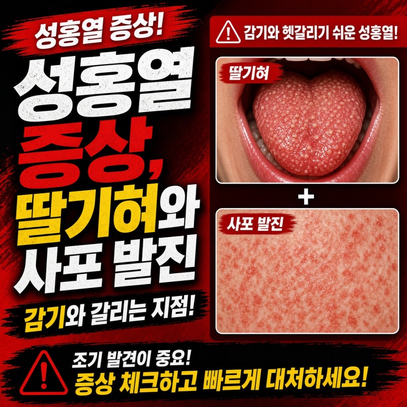 성홍열 증상, 딸기혀와 사포 발진 — 감기와 갈리는 지점
